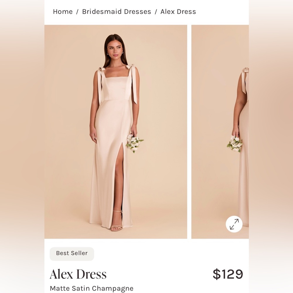 NWT Birdy Grey Alex dress - Matte statin - Champagne